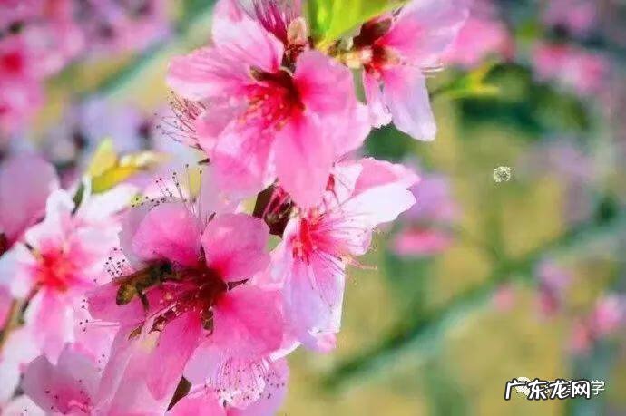 风水宝地的特点 风水 宝地