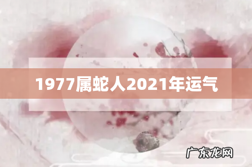 1977属蛇人2021年运气