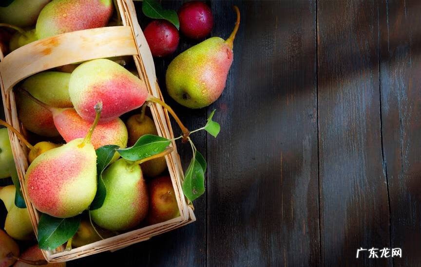 降火的水果都有哪些 哪些水果降火最有效