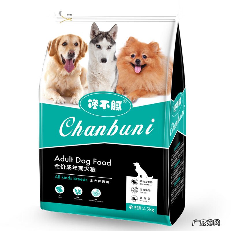 贵宾幼犬吃什么狗粮 贵宾狗粮