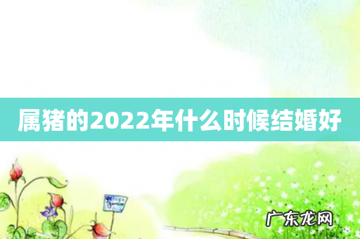 属猪的2022年什么时候结婚好