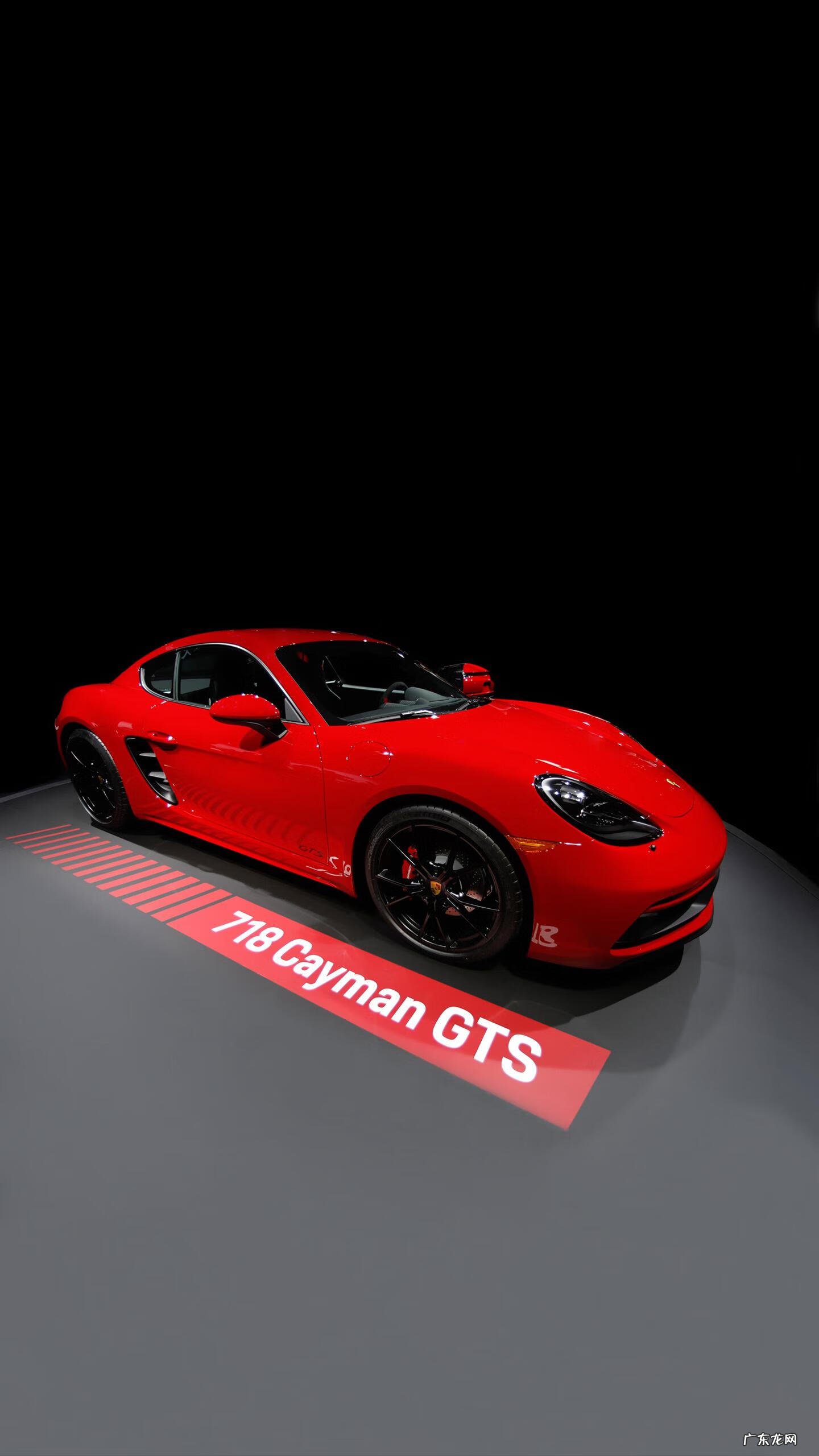 如何看地支藏干 看地支还是看藏干