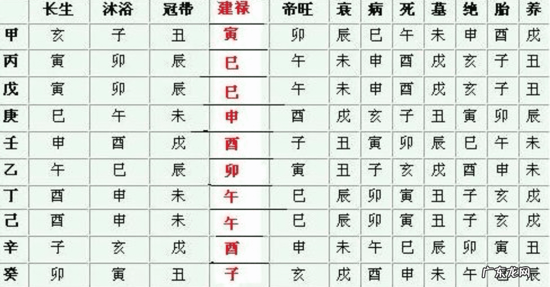 如何看地支藏干 看地支还是看藏干