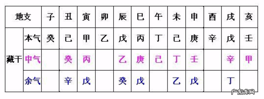 如何看地支藏干 看地支还是看藏干