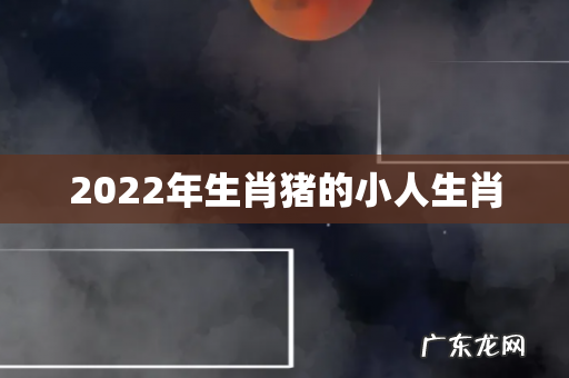 2022年生肖猪的小人生肖