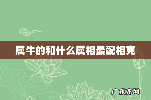 属牛的和什么属相最配相克