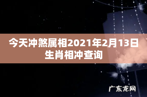 今天冲煞属相2021年2月13日生肖相冲查询