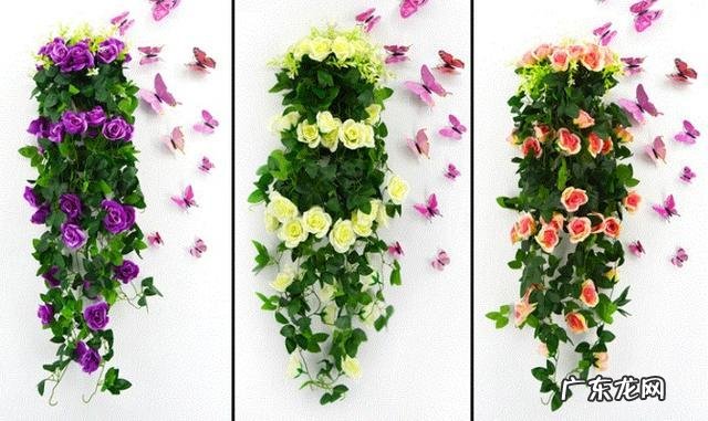 布风水局需要的东西 家里面风水怎么布局