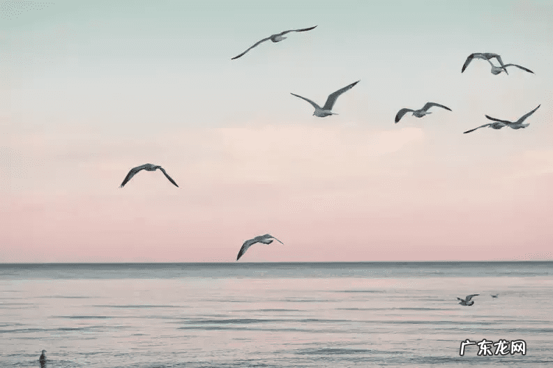 威力意思 风水最厉害的