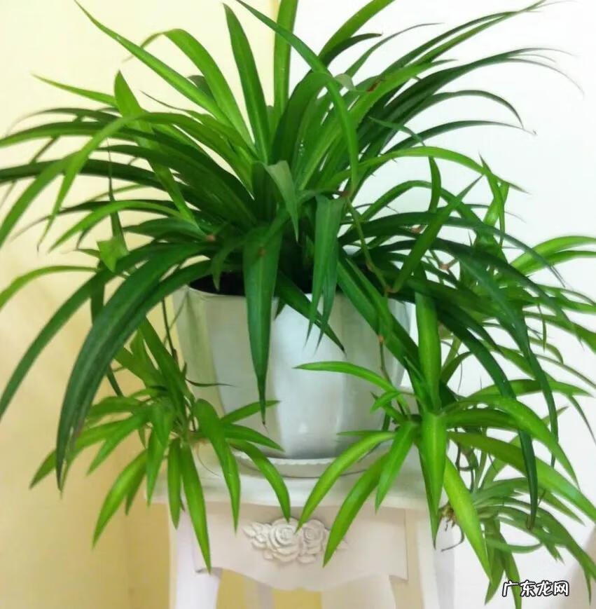 怎么改善家里风水 如何改善家里的风水