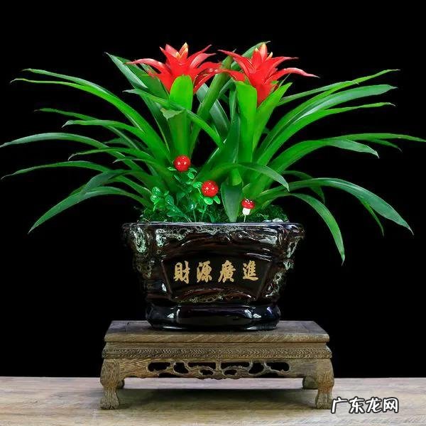 怎么改善家里风水 如何改善家里的风水