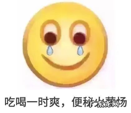 维他纤维的效果 维他纤维是什么