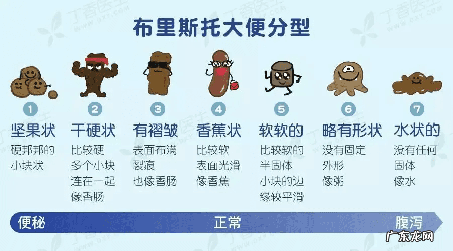 维他纤维的效果 维他纤维是什么