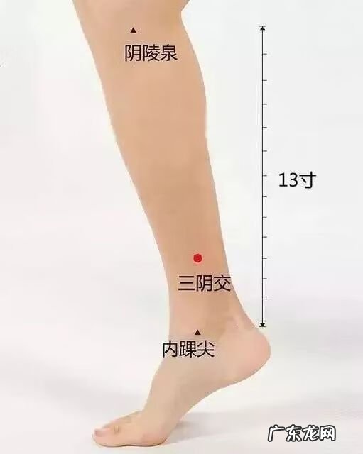 引火归元方法 道家引火归元