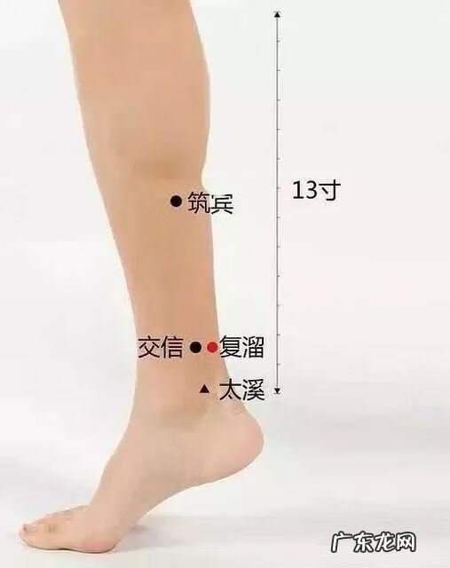 引火归元方法 道家引火归元