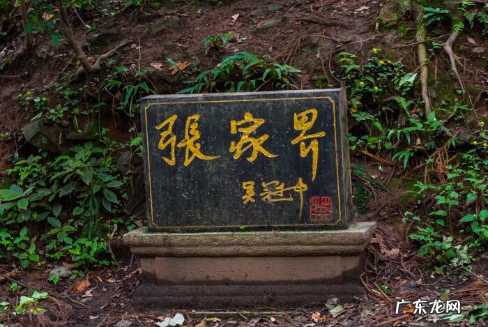 电梯对门口风水化解 百龙电梯风水化解