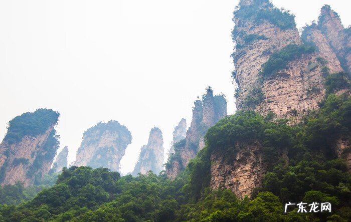 电梯对门口风水化解 百龙电梯风水化解