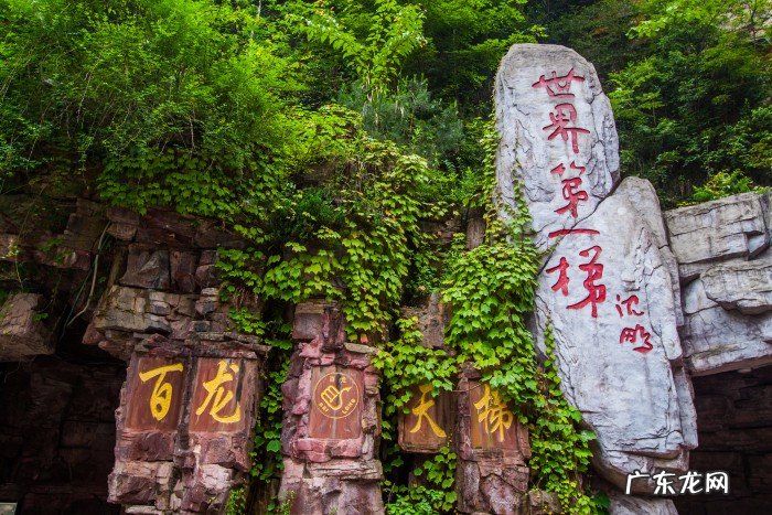 电梯对门口风水化解 百龙电梯风水化解