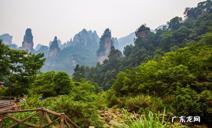 电梯对门口风水化解 百龙电梯风水化解