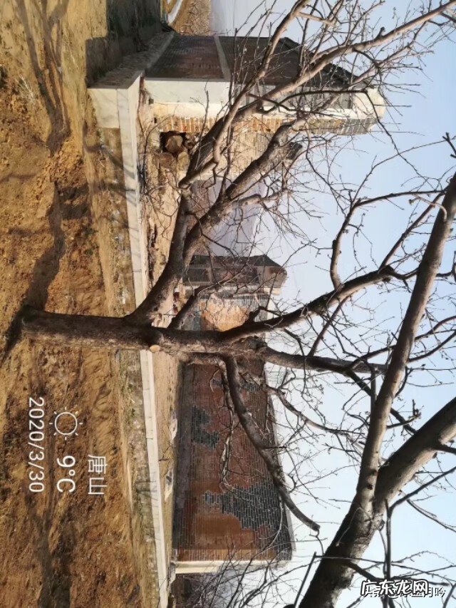 润丰新尚 丰润看风水好的大师