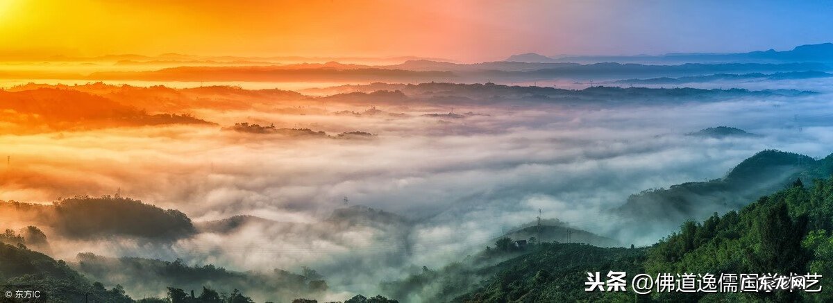 秦伦诗水平 秦伦诗 风水