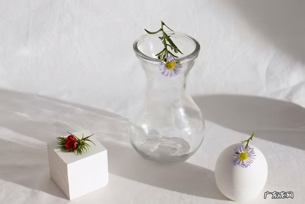 学风水赚钱吗 投资风水学