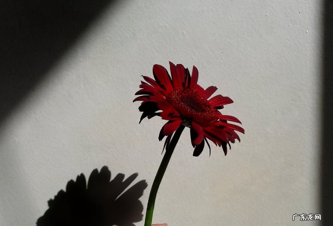 学风水赚钱吗 投资风水学