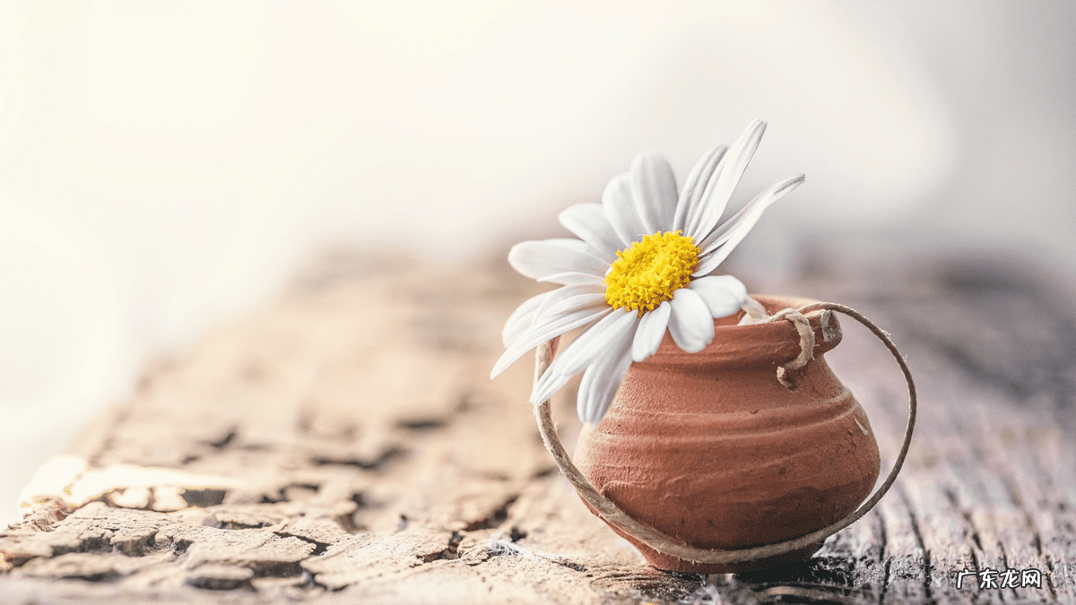 学风水赚钱吗 投资风水学