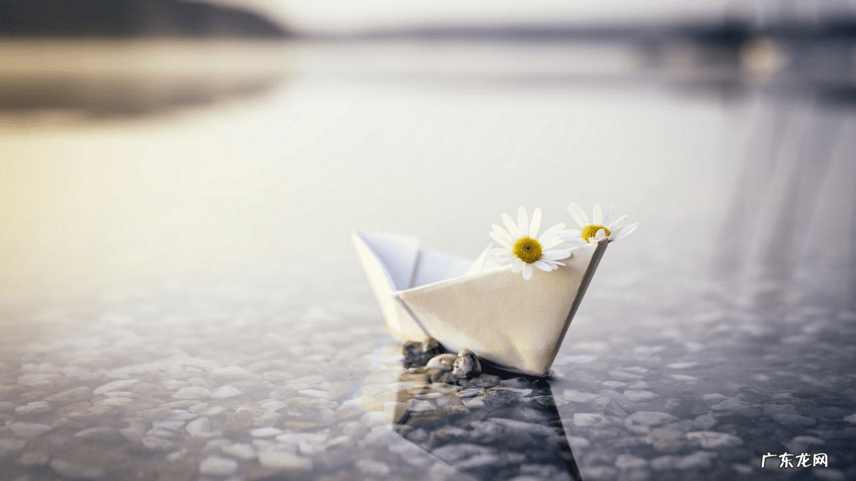 学风水赚钱吗 投资风水学