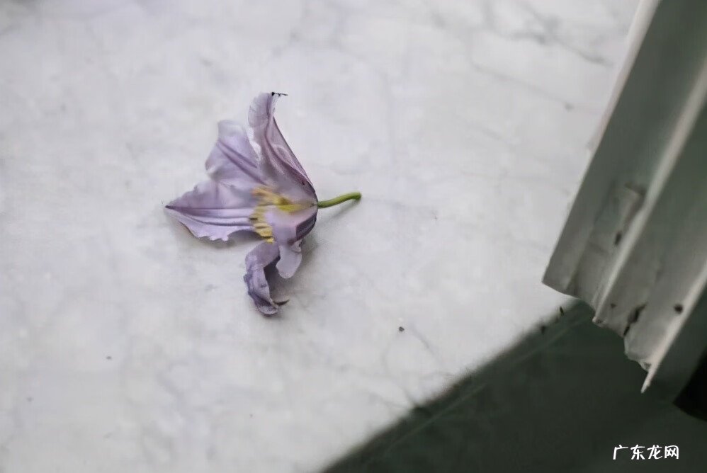 学风水赚钱吗 投资风水学