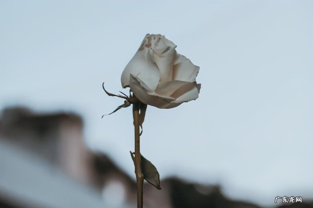 学风水赚钱吗 投资风水学
