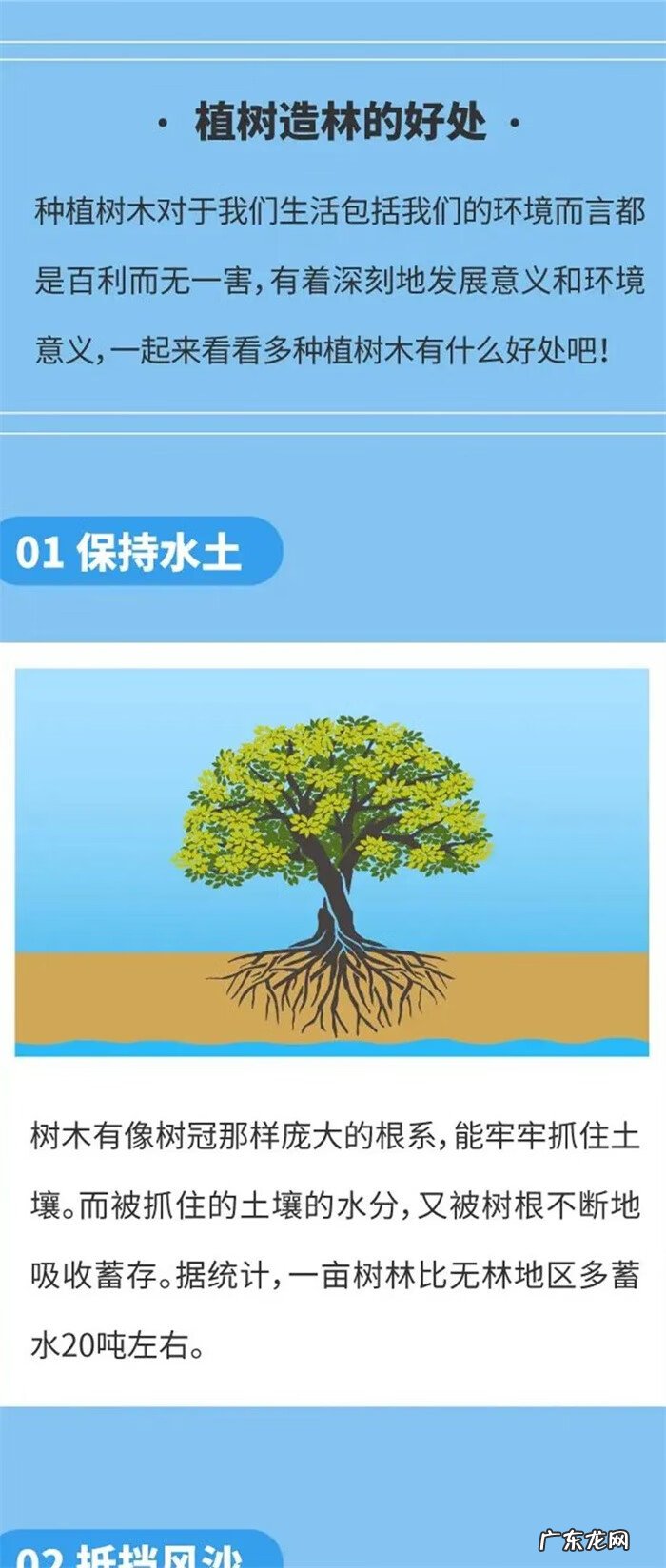 植树节的来历简写10字 植树节的意义与来历