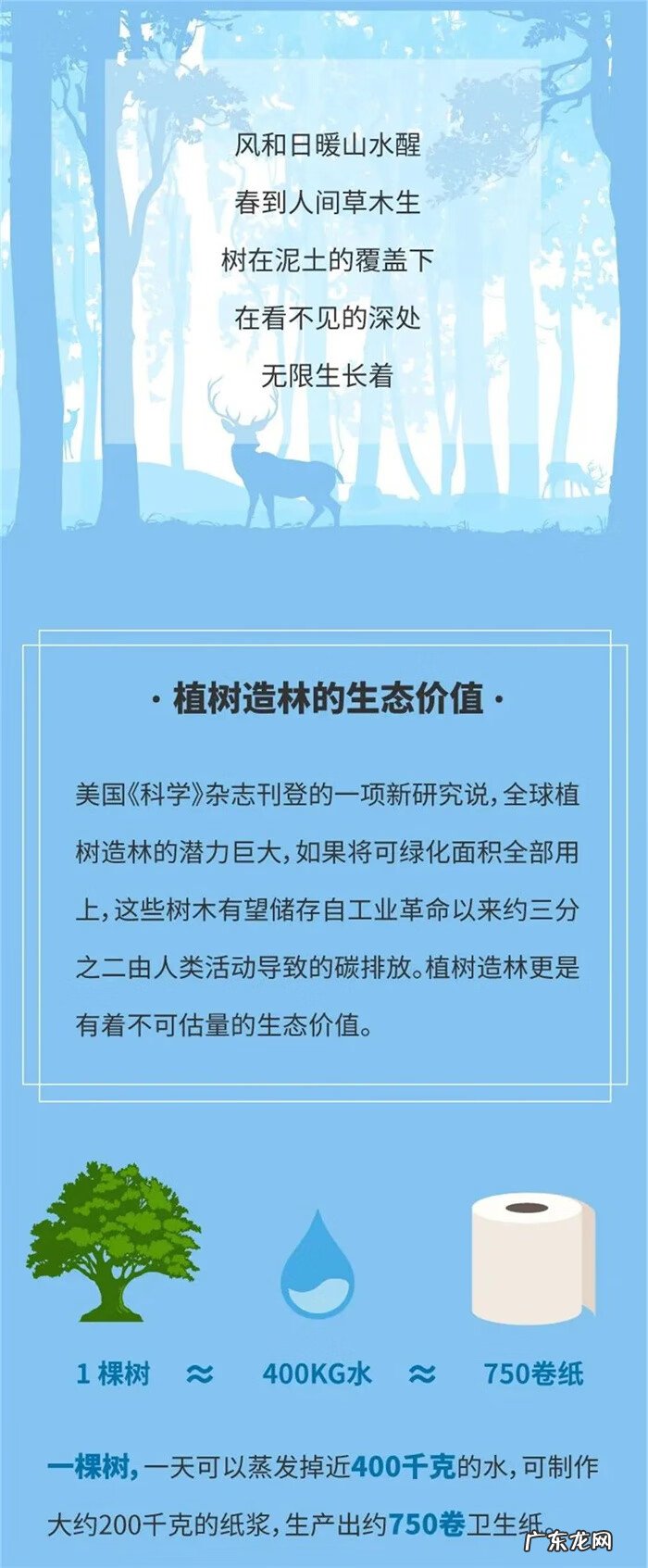植树节的来历简写10字 植树节的意义与来历