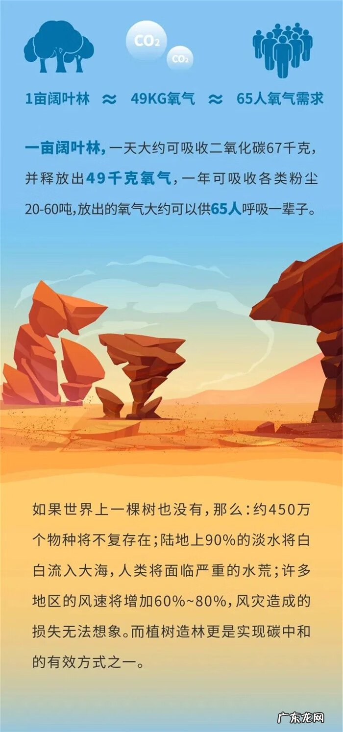 植树节的来历简写10字 植树节的意义与来历