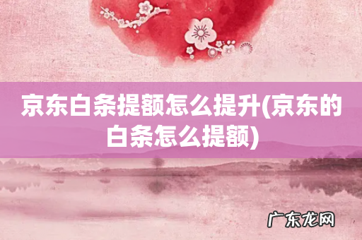 京东的白条怎么提额 京东白条提额怎么提升