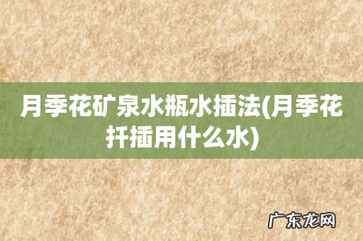 月季花扦插用什么水 月季花矿泉水瓶水插法