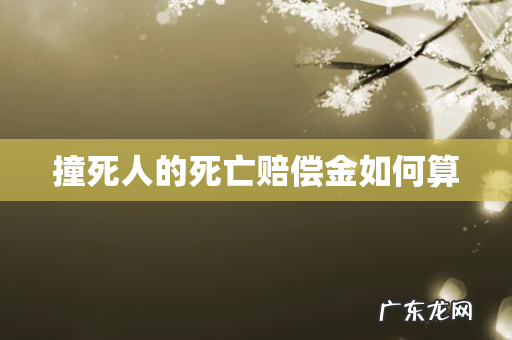 撞死人的死亡赔偿金如何算