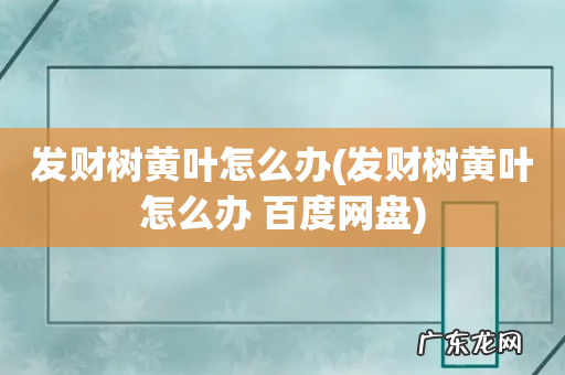 发财树黄叶怎么办 百度网盘 发财树黄叶怎么办