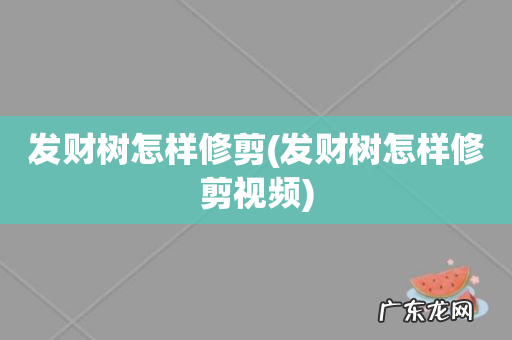 发财树怎样修剪视频 发财树怎样修剪