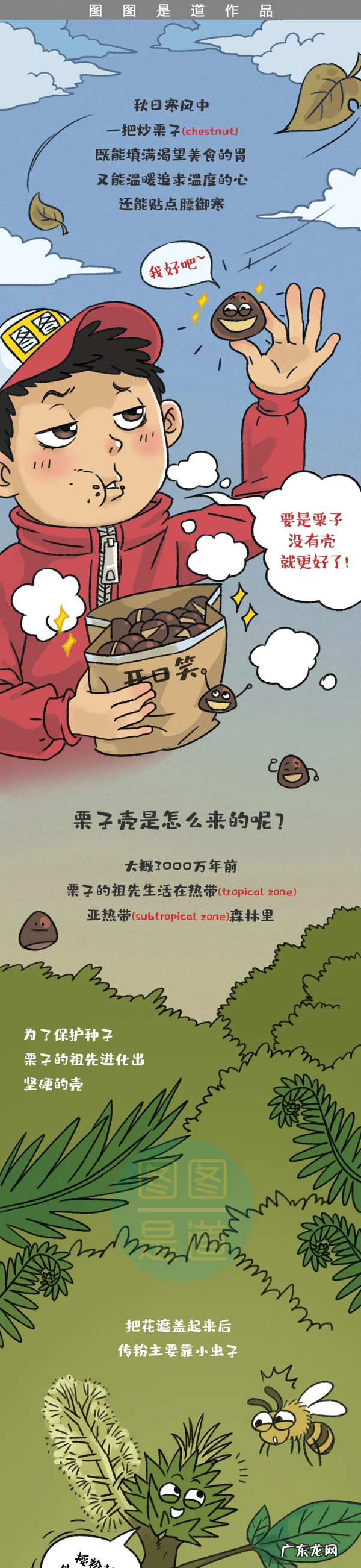 babirusa nutribiotic