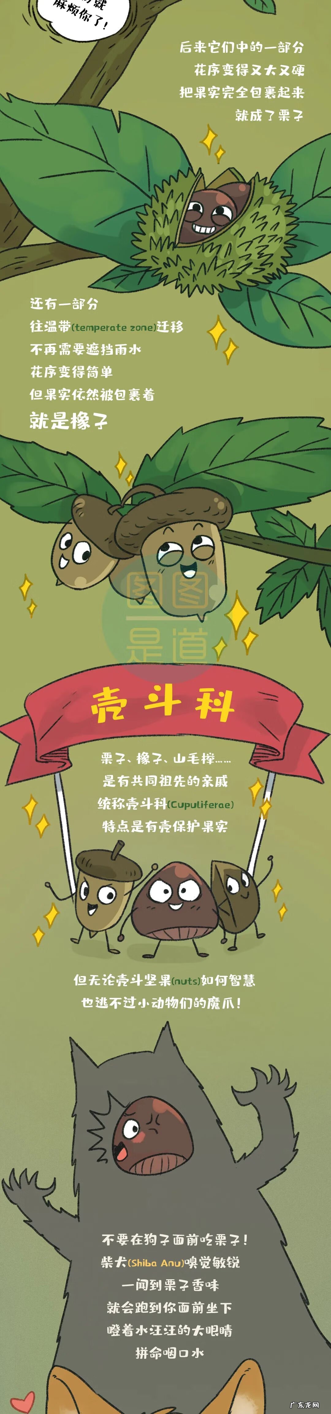 babirusa nutribiotic