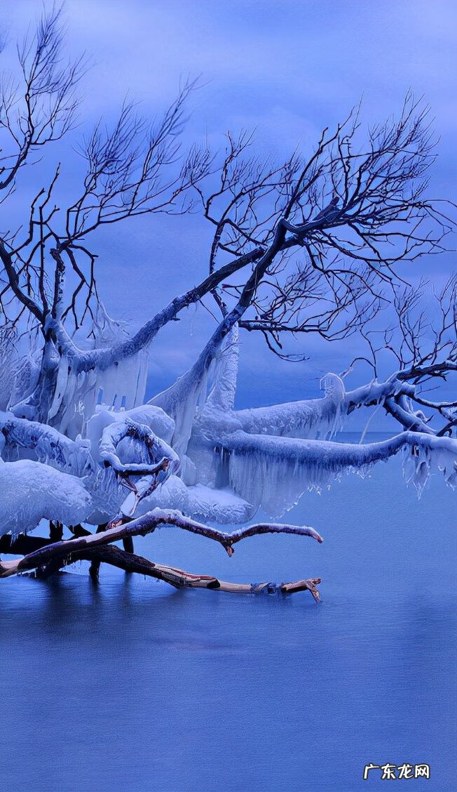 写雪的古诗名句 写写雪的古诗