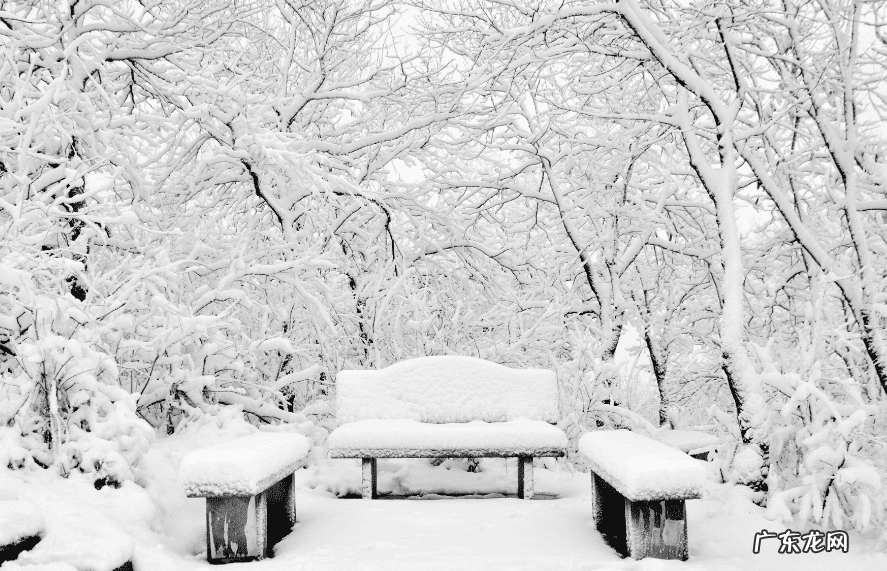 写雪的古诗名句 写写雪的古诗