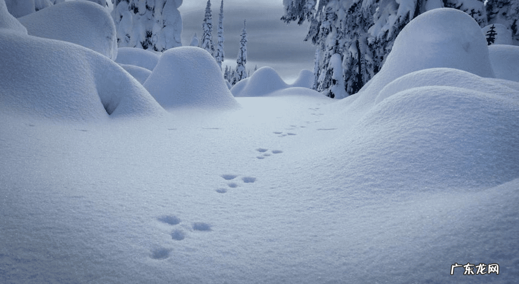 写雪的古诗名句 写写雪的古诗