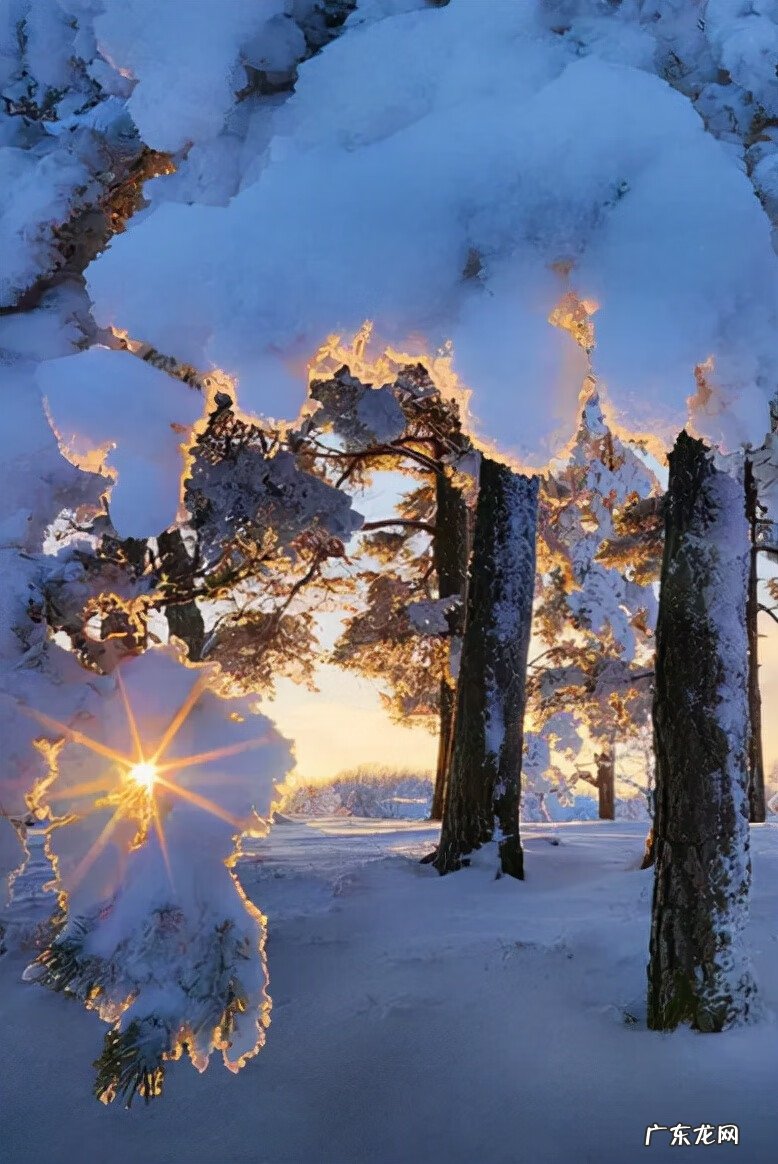 写雪的古诗名句 写写雪的古诗