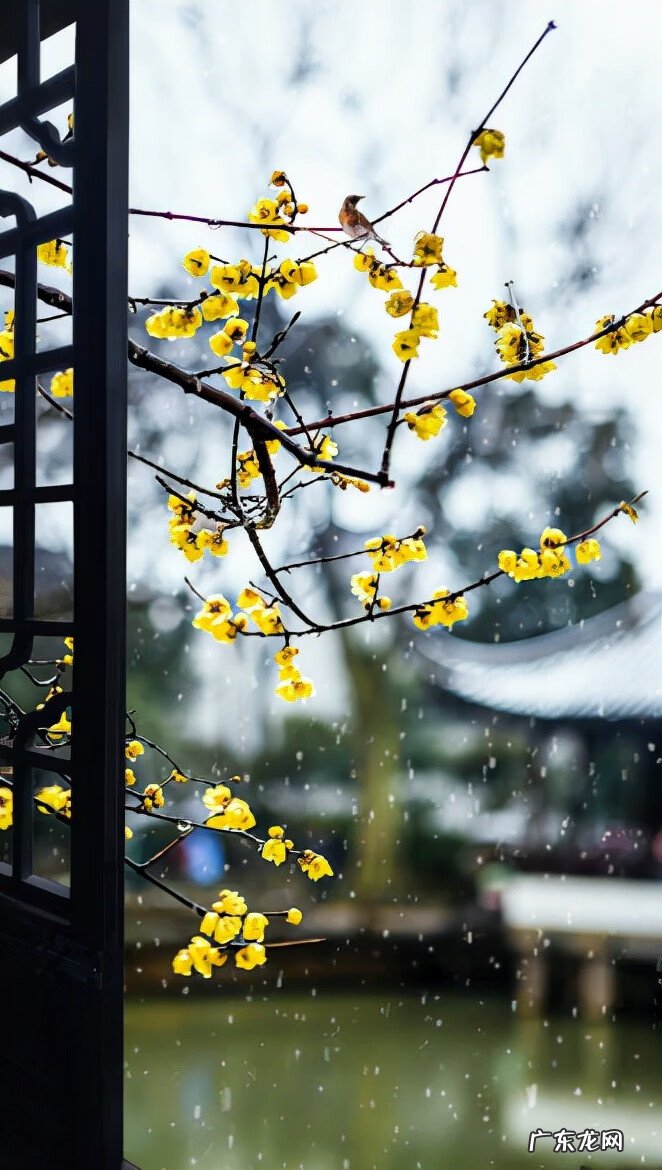 写雪的古诗名句 写写雪的古诗