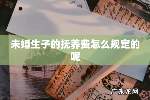 未婚生子的抚养费怎么规定的呢