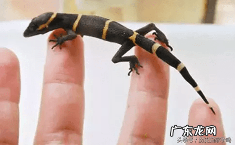 朱砂可以点在额头吗 朱砂点额头作用