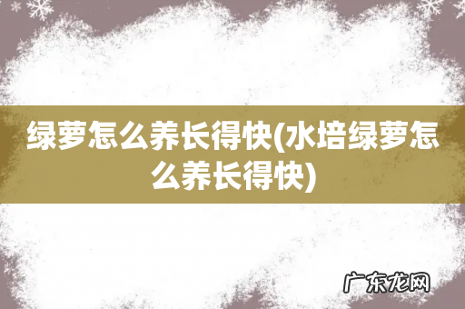 水培绿萝怎么养长得快 绿萝怎么养长得快
