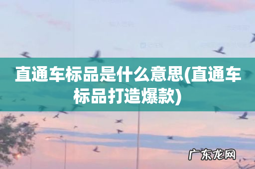 直通车标品打造爆款 直通车标品是什么意思